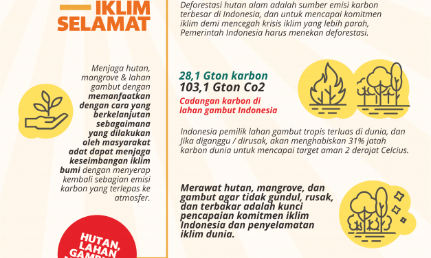 Hutan, Mangrove, Gambut Dirawat, Iklim Selamat