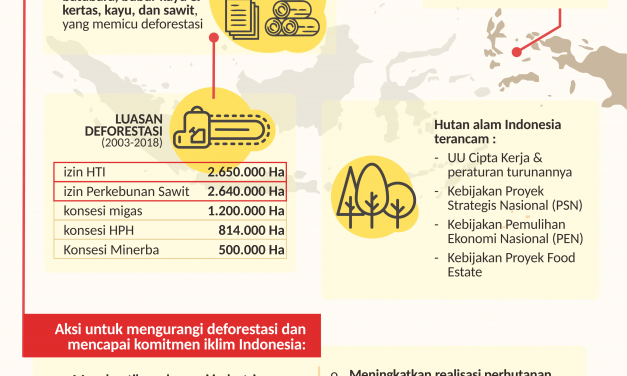 Aksi Mengurangi Deforestasi Untuk Selamatkan Iklim