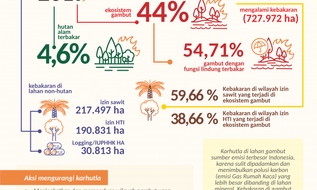 Aksi Mengurangi Karhutla Untuk Selamatkan Iklim