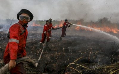 Menimbang Keseriusan Indonesia Mencegah Karhutla 