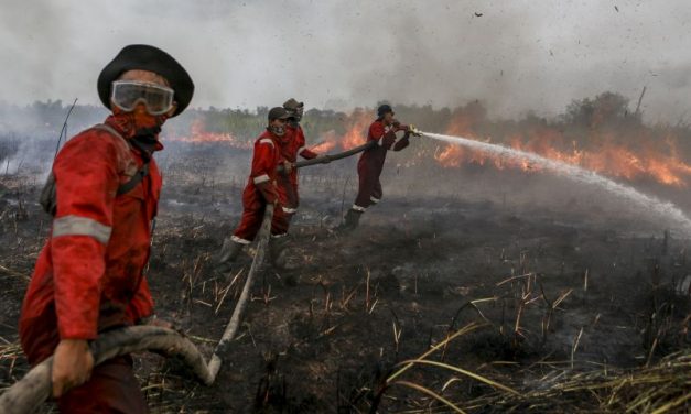 Menimbang Keseriusan Indonesia Mencegah Karhutla 