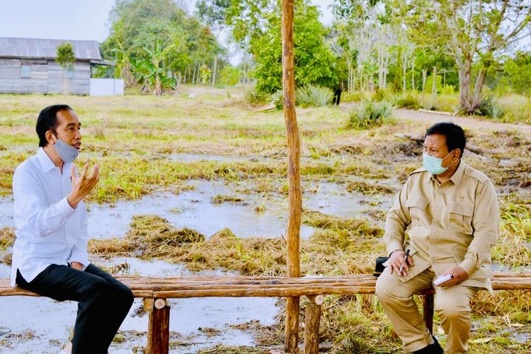 Program Food Estate Mengancam Deforestasi dan Komitmen Iklim Indonesia