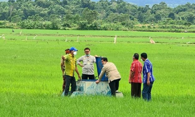 Food Estate Bukan Solusi Mengatasi Persoalan Pangan