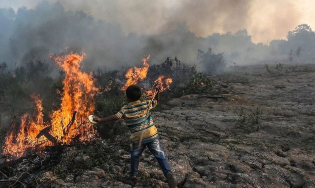 Karhutla Ancam Kelestarian Hutan dan Komitmen Iklim Indonesia