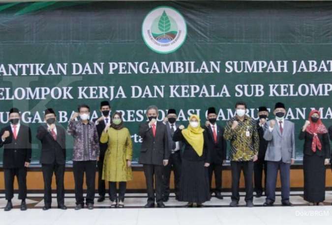 PR Berat BRGM Melanjutkan Pemulihan Gambut Indonesia 