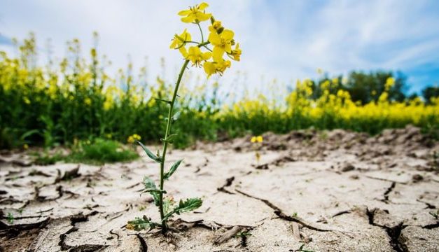 Tenang, Bukan Hanya Mimpi Buruk, Laporan IPCC Juga Membawa Secercah Harapan untuk Hadapi Krisis Iklim Dunia 
