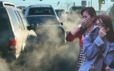 WHO Sebut Polusi Udara Jadi Ancaman Terbesar di Dunia