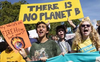 Ternyata Aksi Melawan Krisis Iklim Bisa Selamatkan Jutaan Orang di Dunia, Ini Penjelasan WHO