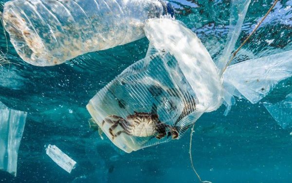 Darurat polusi plastik: Dampaknya setara perubahan iklim – ‘Udara yang kita hirup telah mengandung mikroplastik’